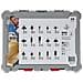 Set di Frese Con Gambo 8 mm 15 Pezzo Mod. 2607017472 - Foto miniatura 3