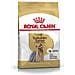 Yorkshire Terrier Adult 3 Kg - Foto miniatura 1