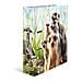 20048 raccoglitore ad anelli A4 Multicolore - Foto miniatura 2