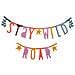 Banner Personalizzabile - 147 Lettere Multicolore - Foto miniatura 1