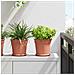 Vaso Rotondo per Fiori 6 pcs Rosso Mattone Ø 19 x 16 cm - Foto miniatura 2