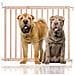 Bettacare Cancelletto Per Cani Robusto In Legno Con Montaggio A Vite, 63,5cm - 105,5cm, Naturale - Foto miniatura 1