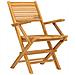 Sedie Da Giardino Pieghevoli 4pz 55x62x90cm Legno Massello Teak - Foto miniatura 3