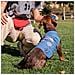Giacca Per Cani Azzurro M - Foto miniatura 5