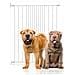 Bettacare Cancelletto Di Sicurezza Per Animali Domestici Extra Alto Con Montaggio A Vite, 62,5cm - 106,8cm, Bianco, Altezza Di 103,5cm - Foto miniatura 1