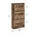 Scarpiera Ribaltabile Scarpiera A 3 Ribalte Portascarpe Salvaspazio Slim, 60x23x115cm, Noce, Fsr137-l-f - Foto miniatura 2
