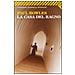 Paul Bowles - La casa del ragno - Foto miniatura 1