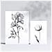 Set Di 6 Stampe Rigogliosa Natura Floreale E Stampe Botaniche Con Motivi Floreali In Un Classico Design D'interni In Bianco E Nero A3 & A4 Senza Cornice - Foto miniatura 2