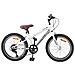 Mountain Bike 24 Pollici 6-Speed per bambini dai 8 ai 12 anni - Foto miniatura 1