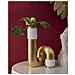 Vaso Bann Big Bianco E Oro In Resina 14,5x25 Cm - Foto miniatura 5