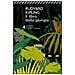 Rudyard Kipling - Il libro della giungla - Foto miniatura 2