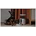 PETC1-M01 distributore di cibo e acqua per cani e gatti Plastica Bianco Universale Alimentatore automatico per animali domestici - Foto miniatura 8