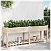 Fioriera da Giardino con Mensola 203x53x76 cm Legno Massello di Abete - Foto miniatura 4