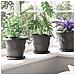 Vassoio Rotondo per Fiori 24 pcs Nero Ø 17,5 x 2 cm Plastica - Foto miniatura 4