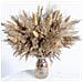 Bouquet Di Fiori Secchi 50 Pezzi - Erba Di Pampa, Code Di Coniglio E Canna Per Decorazioni Domestiche - Foto miniatura 1