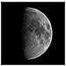 4630100 Telescopio Riflettore Newtoniano Spica 130/1000 EQ3 con Adattatore per Fotocamera Smartphone - Foto miniatura 7