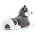Peluche Classic Husky Marcus Maxi 58 x 47 x 100 cm 22277 - Foto miniatura 3
