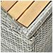 Lusso Casadino -  Panca Da Giardino Con Vano Portaoggetti 120cm Polyrattan Grigio - Foto miniatura 6
