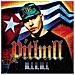 Pitbull - Miami - Foto miniatura 1