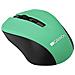 CNE-CMSW1GR USB Ottico 1200DPI Ambidestro Verde mouse - Foto miniatura 2