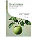 Andrea Errera - Cibo e /è religione. Diritto, spiritualità e alimentazione tra Oriente e Occidente - Foto miniatura 1