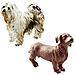 Safari Ltd Cani Toob Con 11 Statuette Giocattolo Dipinte A Mano Tra Cui Un Bassotto Dalmata Retriever Cane Pastore Collie Pastore Beagle Boxer Alano Doberman E Bulldog Dai 3 Anni In Su - Foto miniatura 3