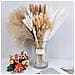 Bouquet Di Fiori Secchi Da 75 Steli Per Composizioni Floreali E Decorazioni Per La Casa - Foto miniatura 5