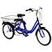 Bici A Tre Ruote Misura 20 Bicicletta Unisex Tr20 Con Cambio 6v Telaio In Alluminio Completa Di Accessori E Luci A Led - 42 Argento - Foto miniatura 3