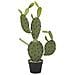 Cactus Nopal Artificiale Verde 75cm - Foto miniatura 1