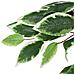 Albero Di Ficus Artificiale 756 Foglie 150 Cm Verde - Foto miniatura 3