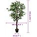 Albero Di Ficus Artificiale 756 Foglie 150 Cm Verde - Foto miniatura 8