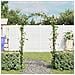 Set 2 Archi da Giardno in Ferro per Piante Rampicanti - Foto miniatura 2