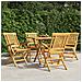 Sedie Da Giardino Pieghevoli 4pz 56x63x90cm Legno Massello Teak - Foto miniatura 1