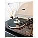 Piatti Audio LBT-345WA Trasmissione a Cinghia 33,45 Giri /min USB Alluminio Nero - Foto miniatura 19