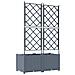 Fioriera da Giardino con Graticcio 2 pz Grigio Chiaro 80x40x143 cm - Foto miniatura 7