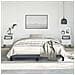 Struttura letto senza Materasso Grigio Scuro 152x203 cm matrimoniale Velluto - Foto miniatura 4
