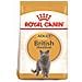 Royal Canin Fbn British Shorthair Adult Dry Cat Food - 10 Kg - Foto miniatura 1