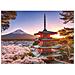 Puzzle Da 1000 Pezzi Fiori Di Ciliegio Del Monte Fuji, Adulti E Bambini, Età 14, Puzzle Di Alta Qualità, 12000582, Ravensb - Foto miniatura 1