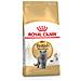 British Shorthair Royal Canin 2 Kg - Foto miniatura 1