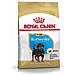 Cibo Secco Per Cani Rottweiler Junior12 Kg - Foto miniatura 1