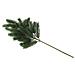 Di Abete, Ramo, Pe, 65cm - Foto miniatura 1