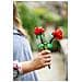 40460 Rose - Foto miniatura 5