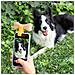 Clip Universale in Silicone per Selfie con Animali Domestici - Foto miniatura 6