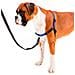 Pettorina Per Cani Coach Ferplast M-l - Foto miniatura 4