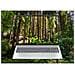 OmniBook 5 Laptop Next Gen AI 16-ag1034nlx Copilot+ PC AMD Ryzen AI 5 330 Computer portatile 40,6 cm (16") 2K 16 GB LPDDR5x-SDRAM 512 GB SSD Wi-Fi 6 (802.11ax) Windows 11 Home Argento - Foto miniatura 12