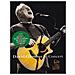 David Gilmour - In Concert - Foto miniatura 3
