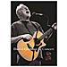 David Gilmour - In Concert - Foto miniatura 1