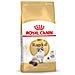 Ragdoll Royal Canin 2kg - Foto miniatura 1