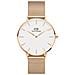 Orologio Da Donna Dw00100303 - Petite Melrose 36mm (zw509d) - Disponibile - Foto miniatura 2