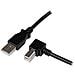 Cavo USB 2.0 A a B con angolare destro da 2 m - M / M - Foto miniatura 1